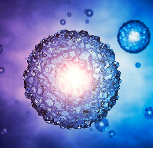 Blastocyst Transfer Treatment