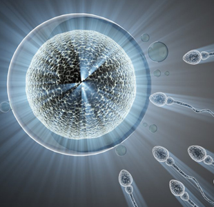 IUI Hospitals in Vijayawada