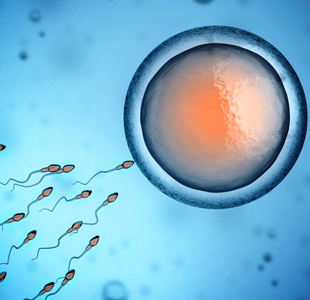 IVF treatment in Vijayawada