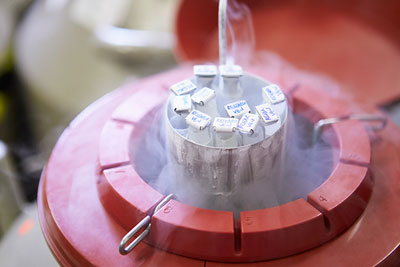 Sperm Bank