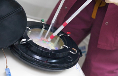 egg donation