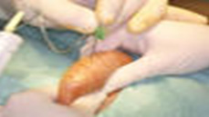 icsi clinics
