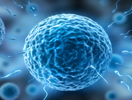 padmaja ivf clinic